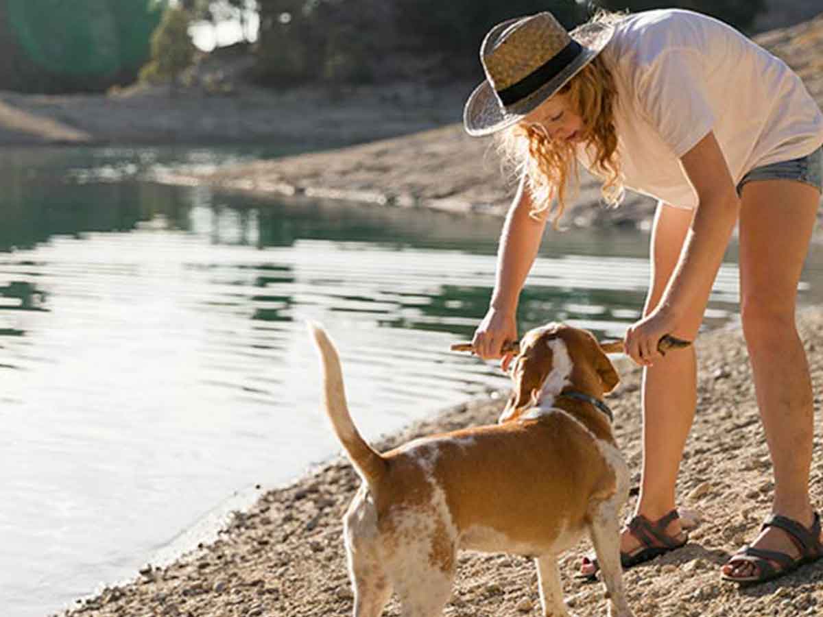 How to vet your pet sitter