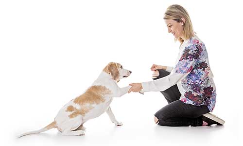 woman shaking hands with dog