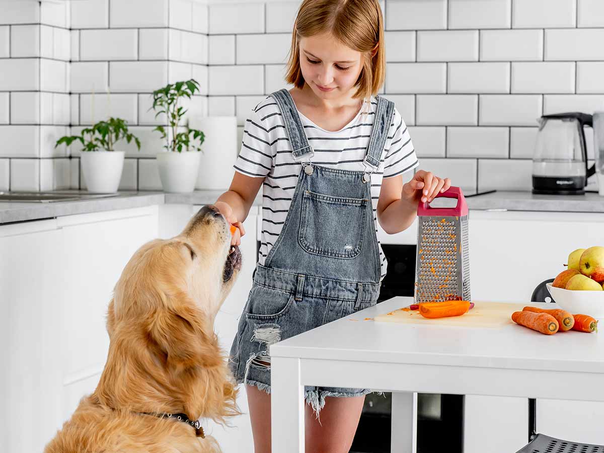 Feeding table scraps Do or don t MyPet