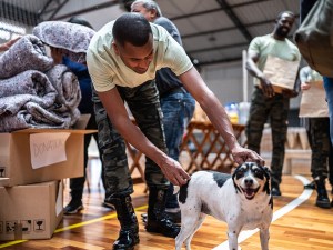 Man petting dog at an emergency shelter